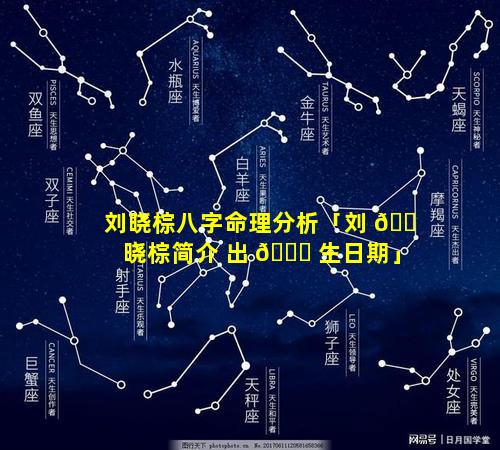 刘晓棕八字命理分析「刘 🐠 晓棕简介 出 🐋 生日期」
